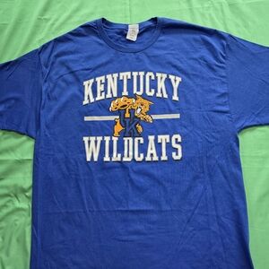 Hanes Authentic Blue T-Shirt